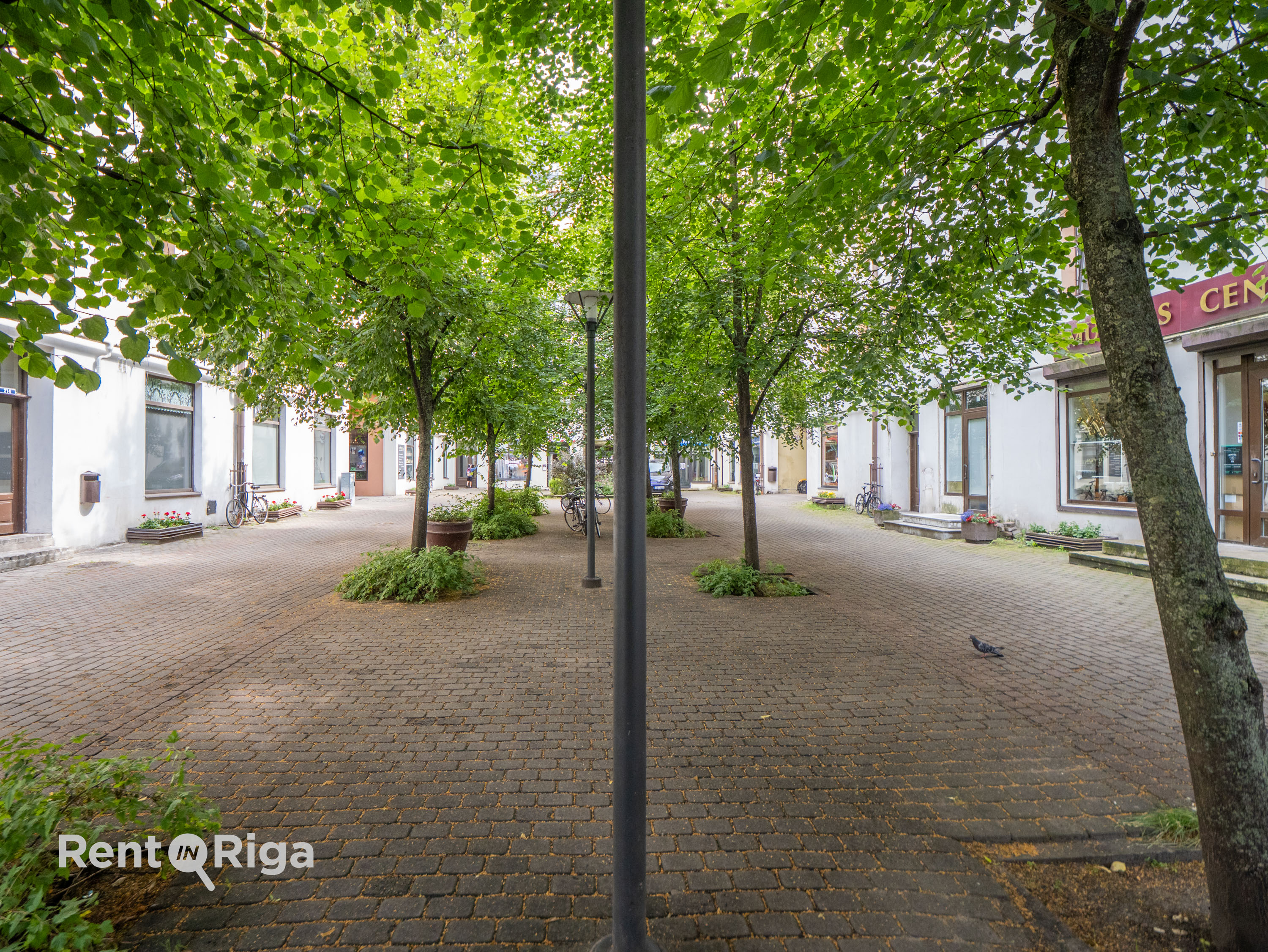 Сдают квартиру, улица Dzirnavu 113A - Изображение 1