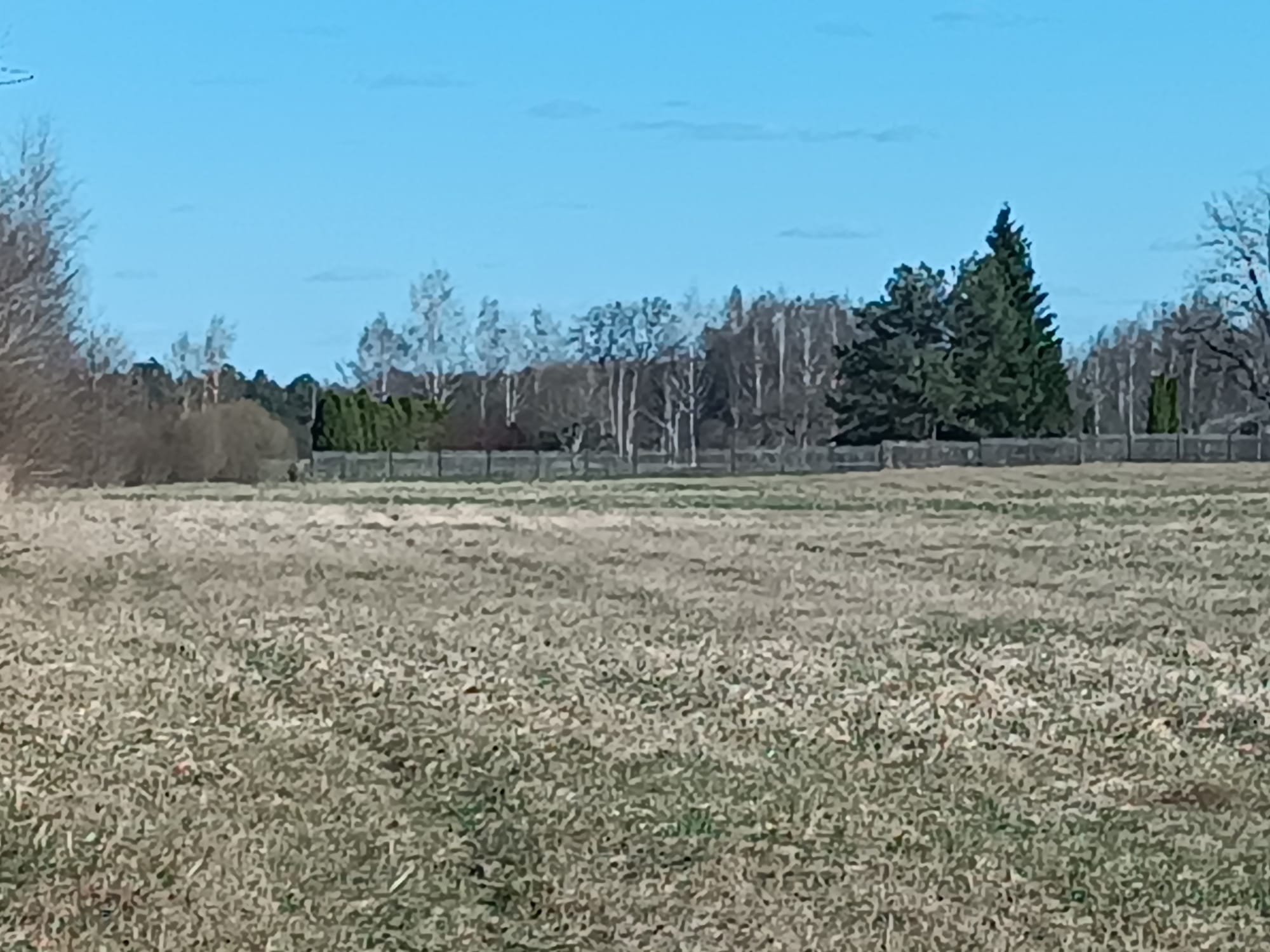 Pārdod zemi, Jaunrakauskas iela - Attēls 1