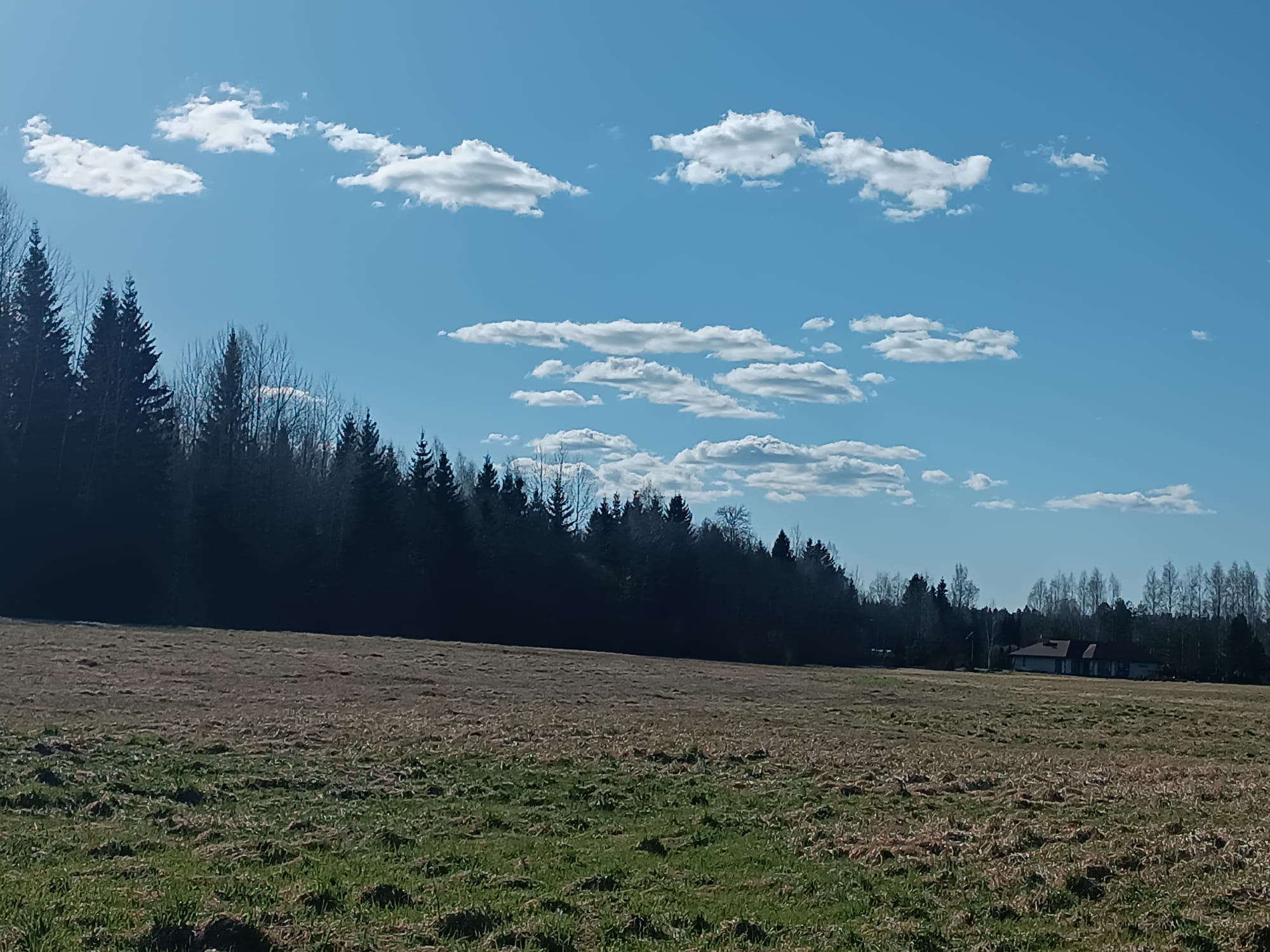 Pārdod zemi, Jaunrakauskas iela - Attēls 1