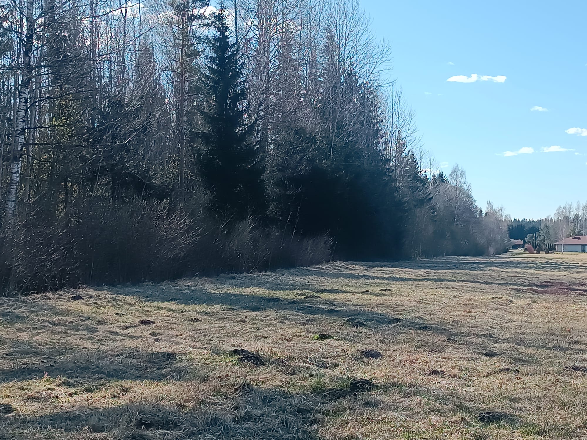 Pārdod zemi, Jaunrakauskas iela - Attēls 1