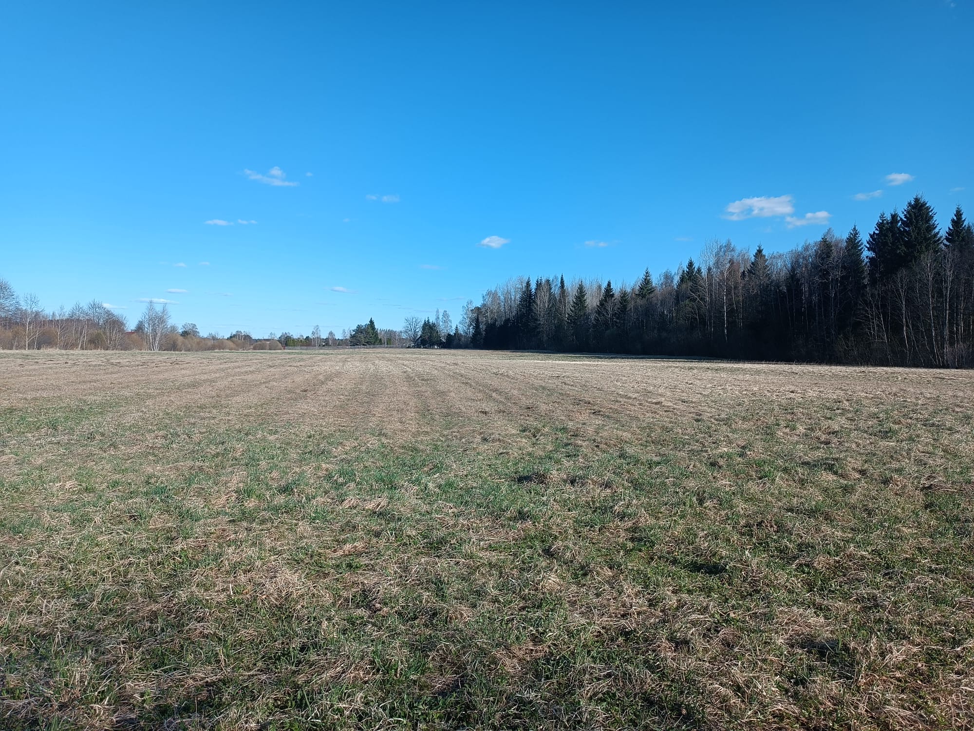 Pārdod zemi, Jaunrakauskas iela - Attēls 1