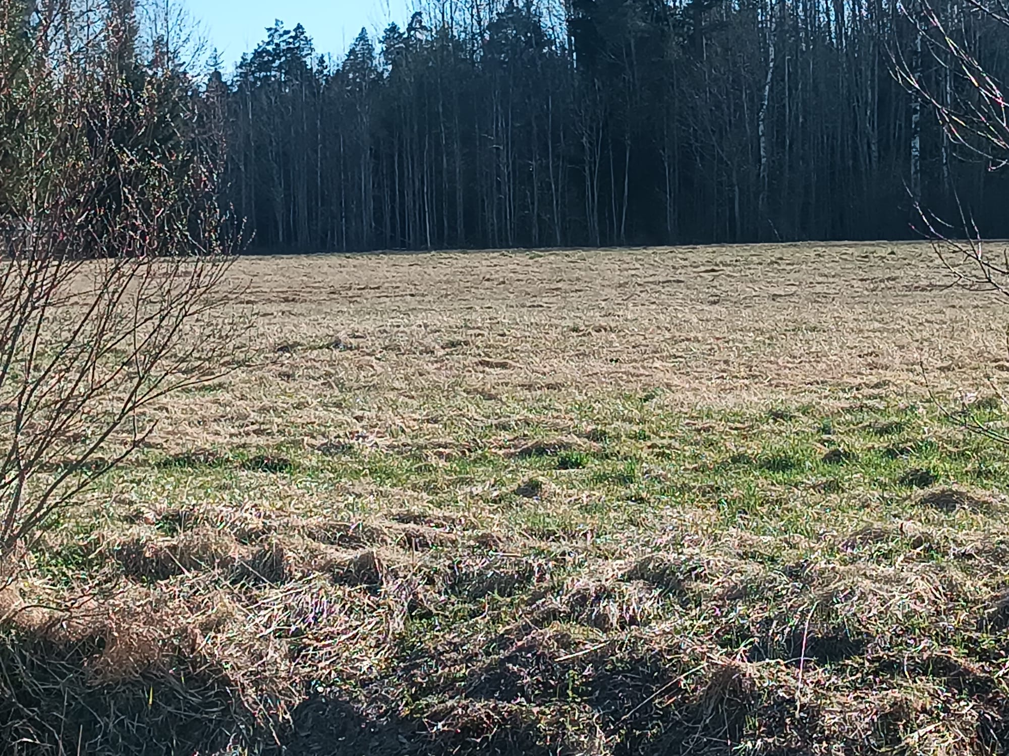 Pārdod zemi, Jaunrakauskas iela - Attēls 1