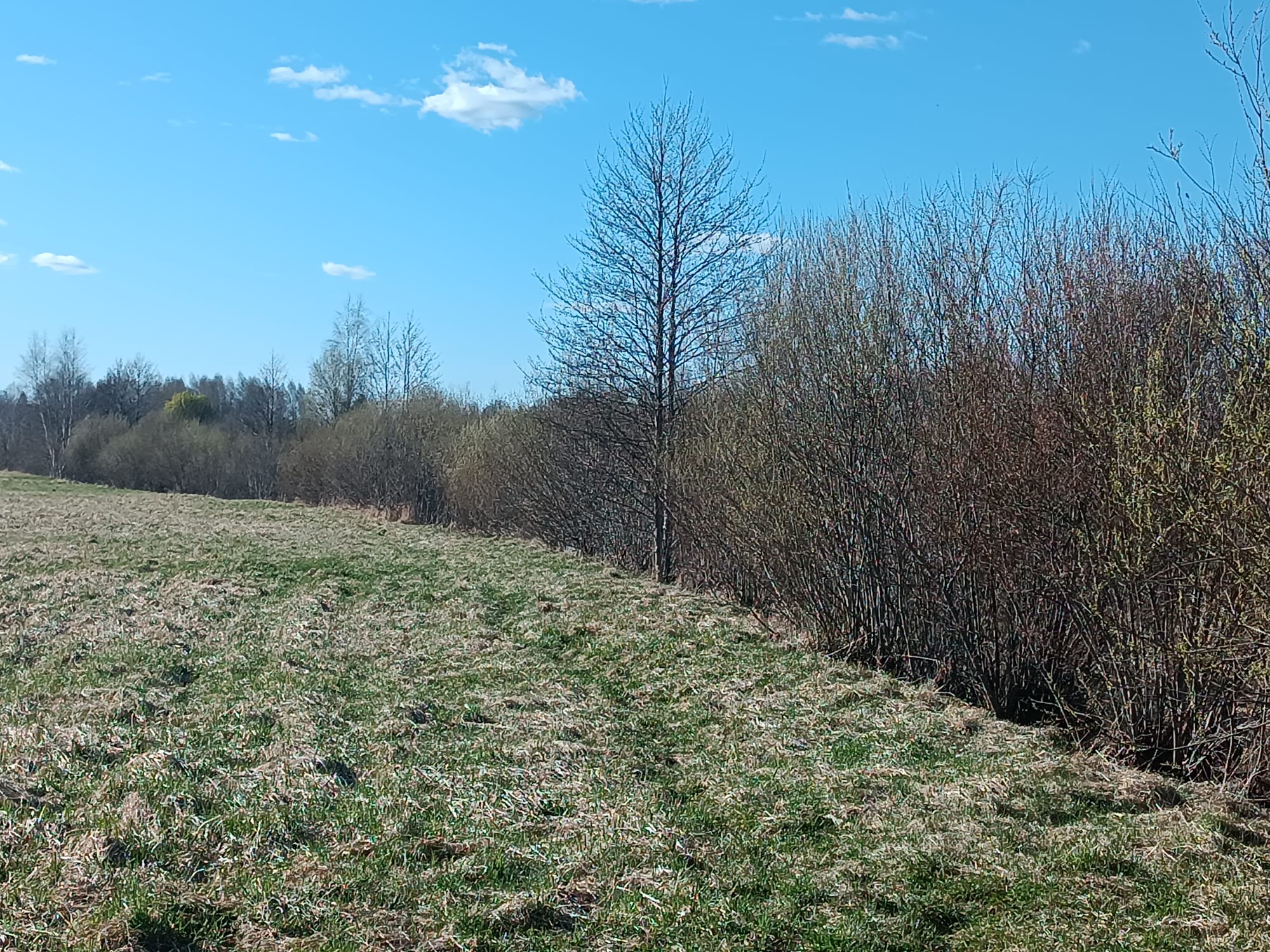 Pārdod zemi, Jaunrakauskas iela - Attēls 1