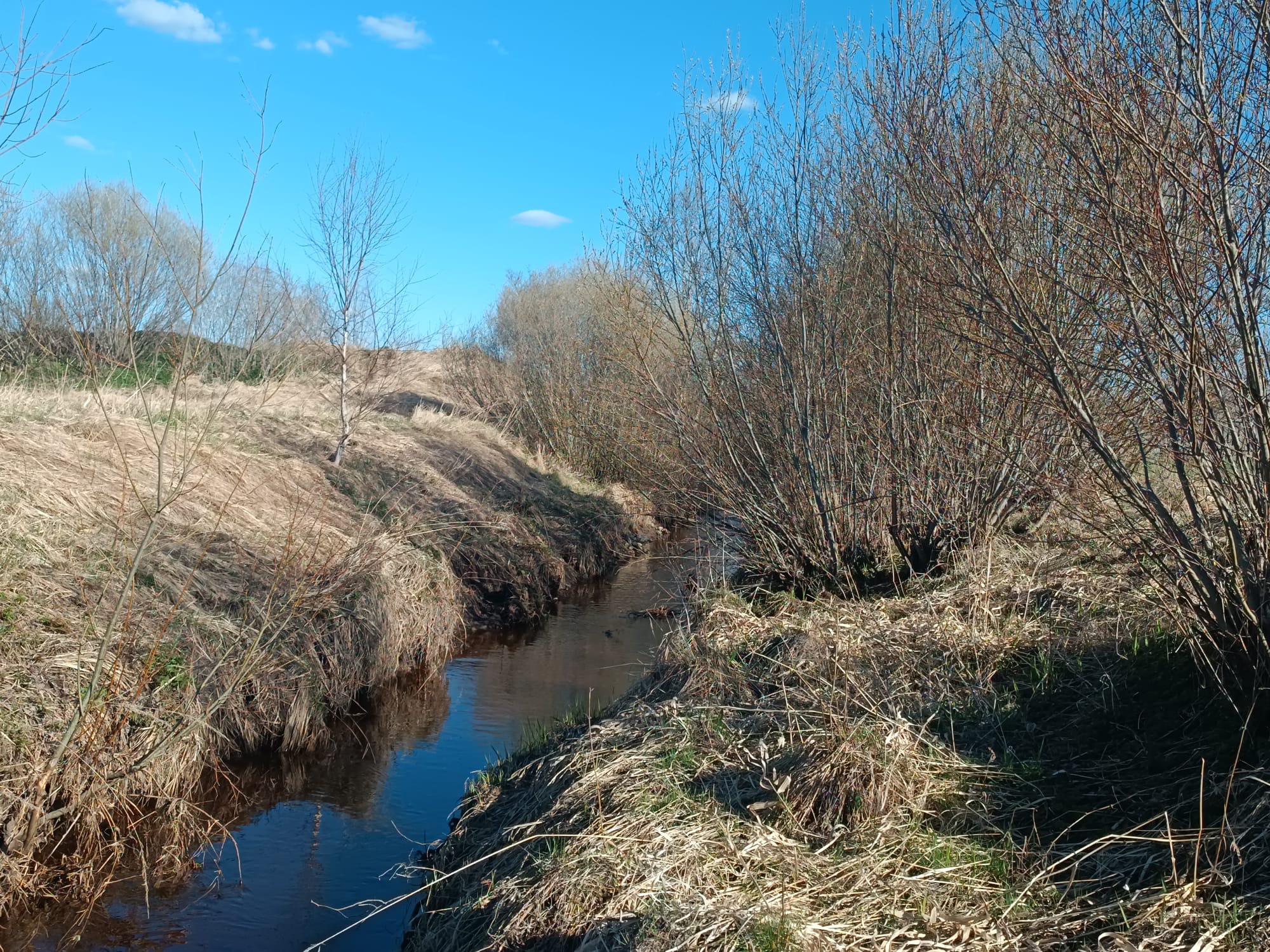 Pārdod zemi, Jaunrakauskas iela - Attēls 1