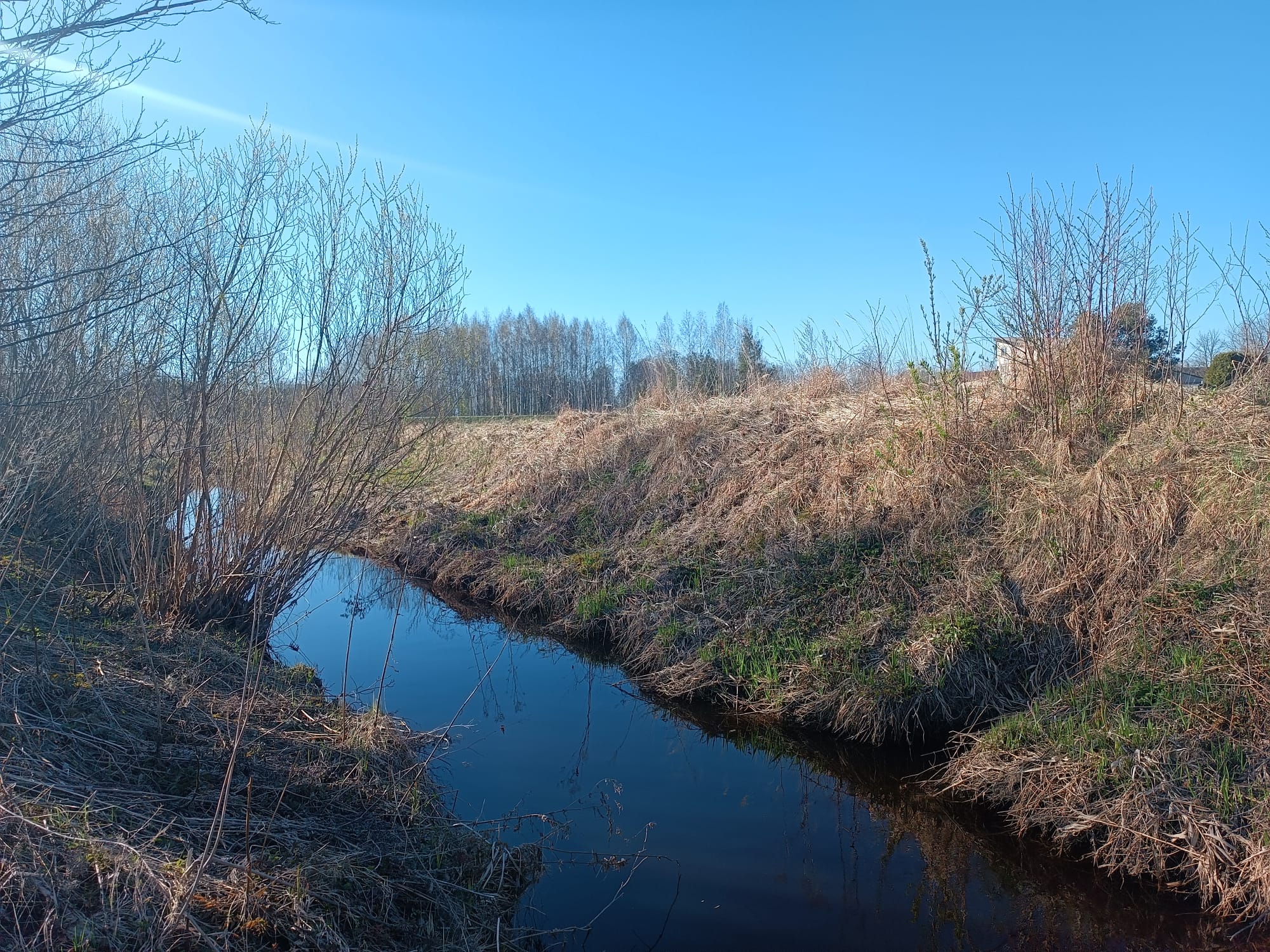 Pārdod zemi, Jaunrakauskas iela - Attēls 1