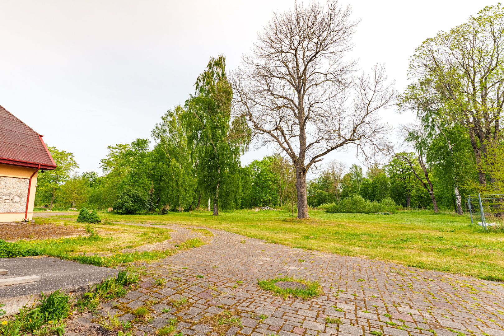 Office for rent, Zviedru street - Image 1