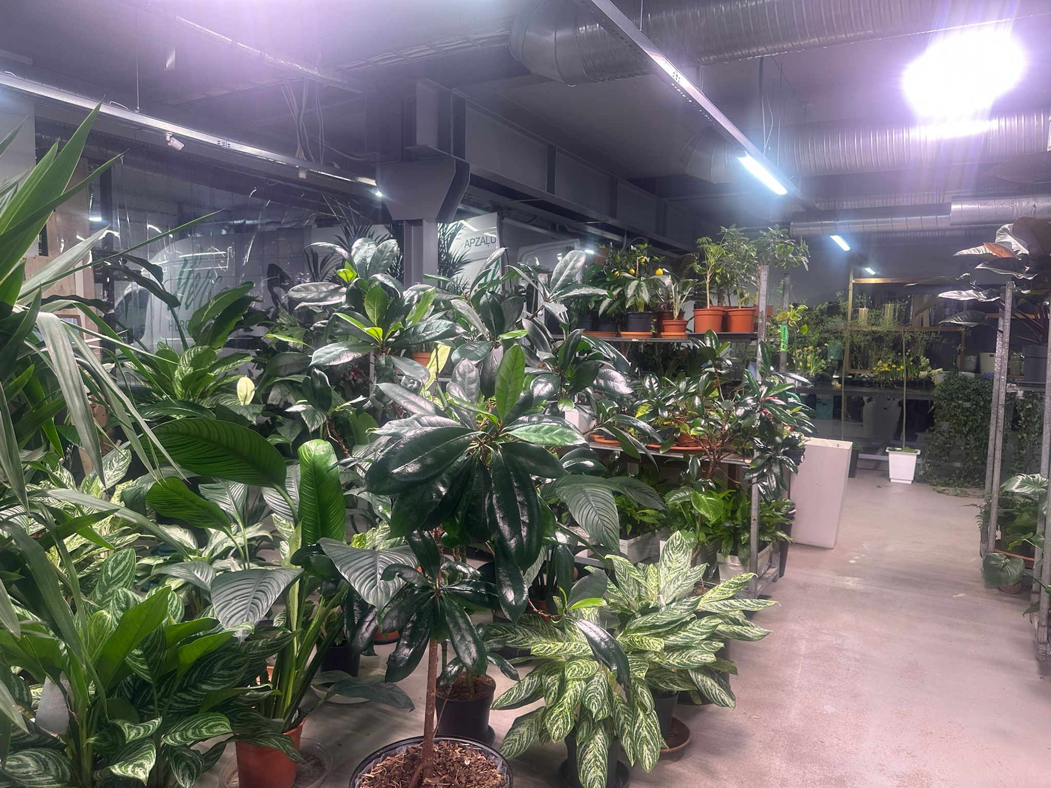 Pārdod tirdzniecības telpas, Ropažu iela - Attēls 1