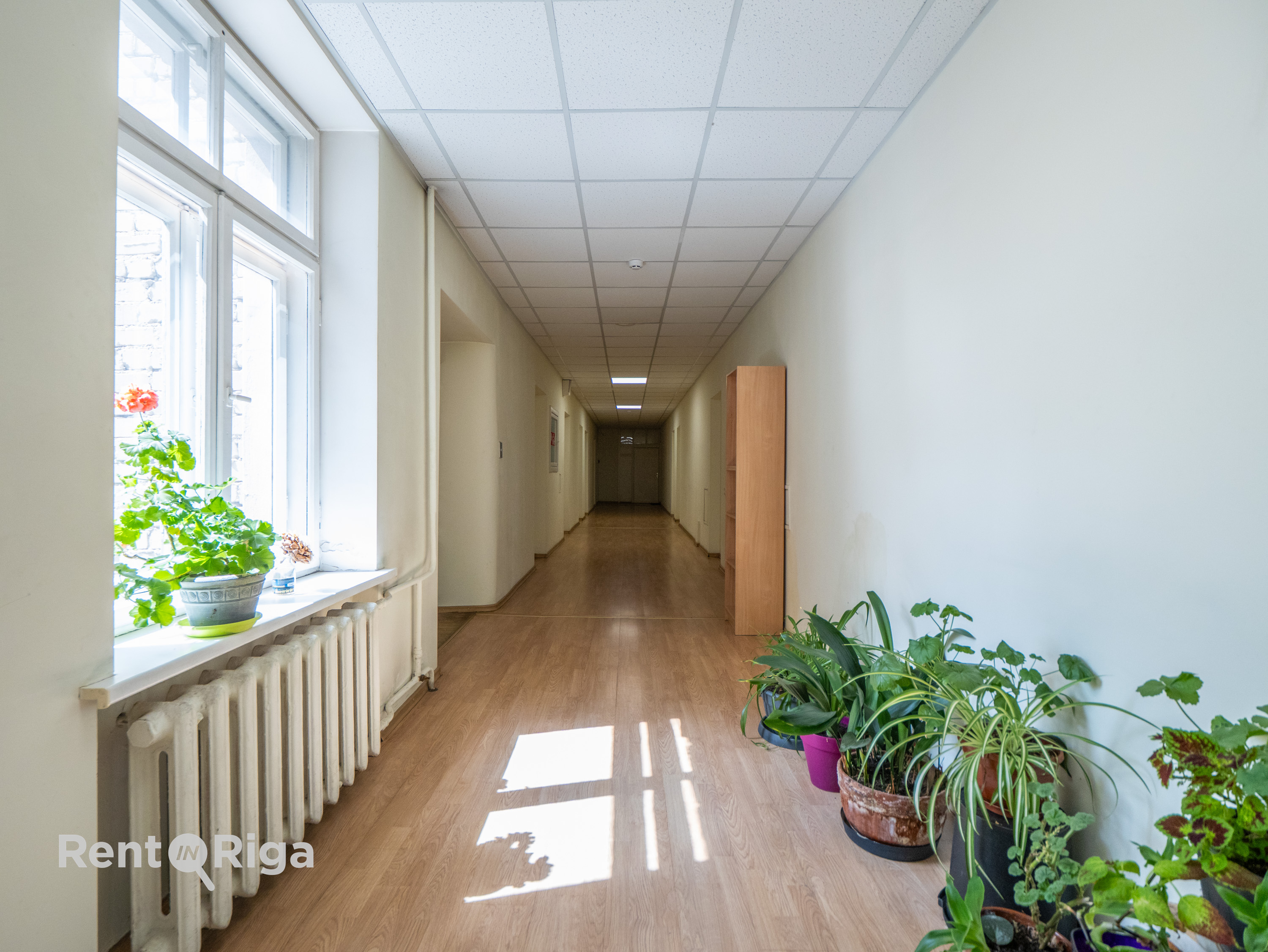 Iznomā namīpašumu, Lāčplēša iela - Attēls 1