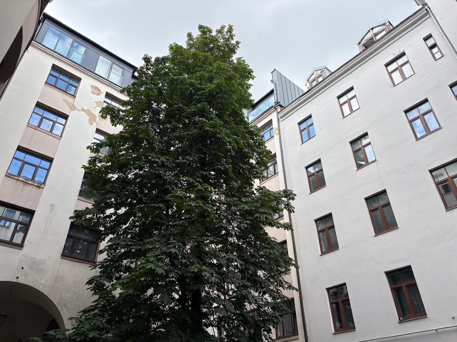 Apartment for rent, Marijas street 16 - Image 1
