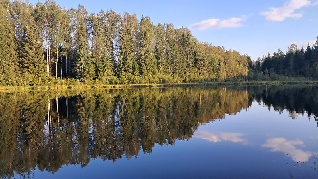 Pārdod zemi, Ielejas iela - Attēls 1