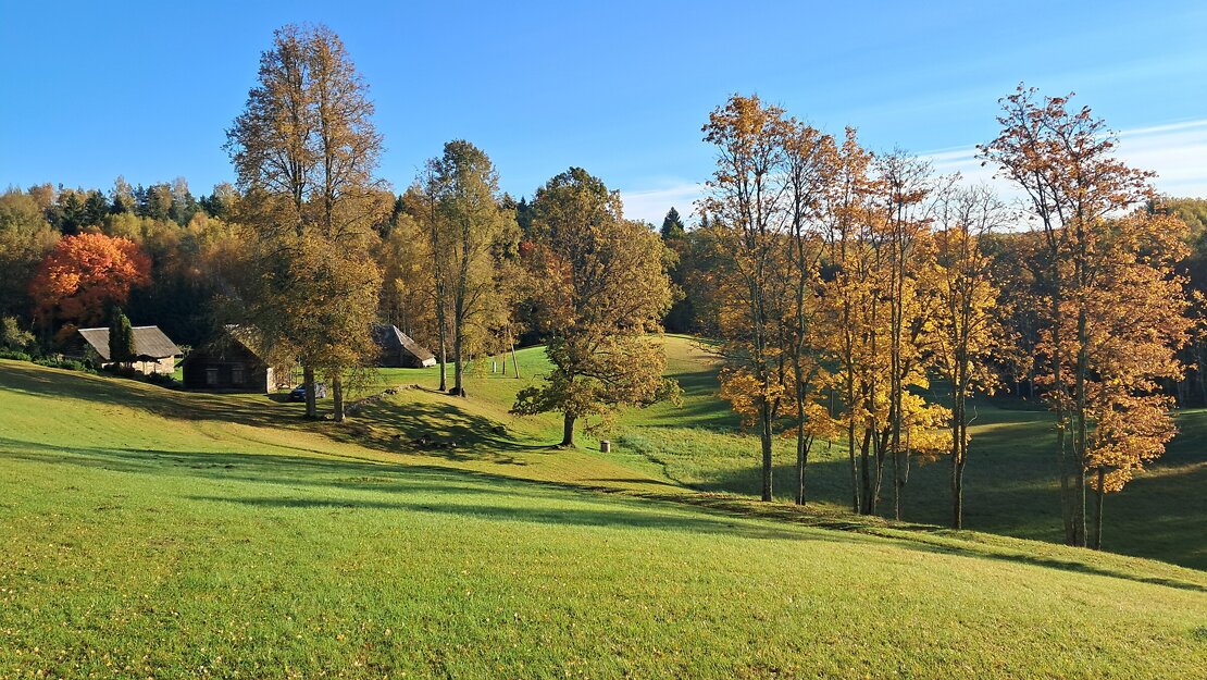Pārdod zemi, Ielejas iela - Attēls 1