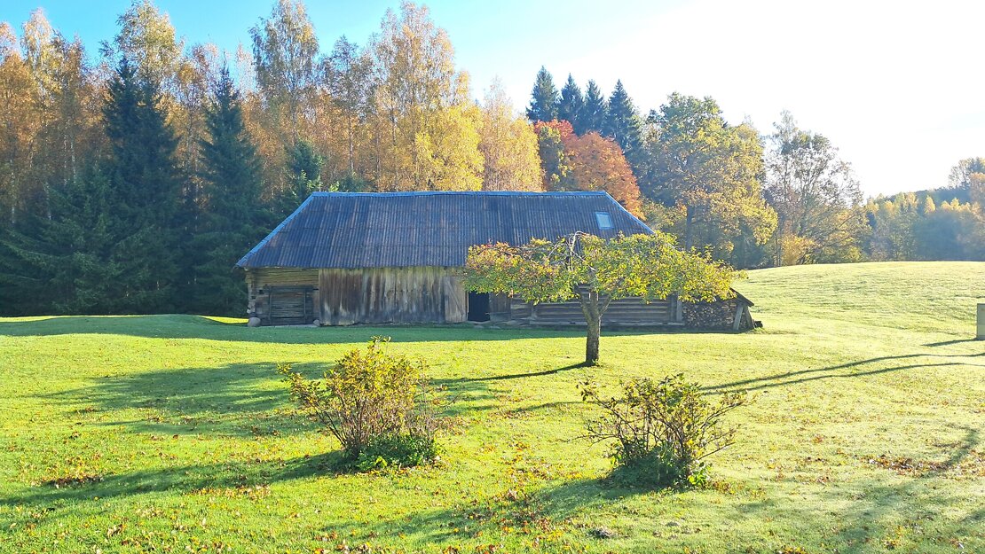 Pārdod zemi, Ielejas iela - Attēls 1