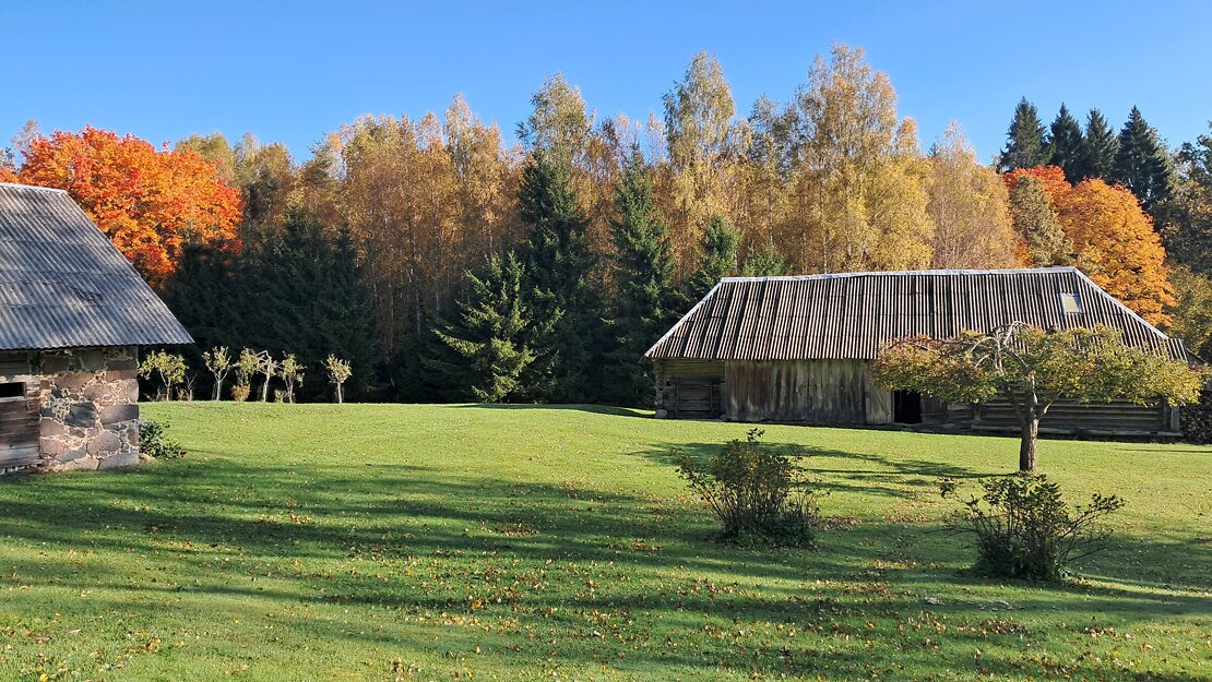 Pārdod zemi, Ielejas iela - Attēls 1