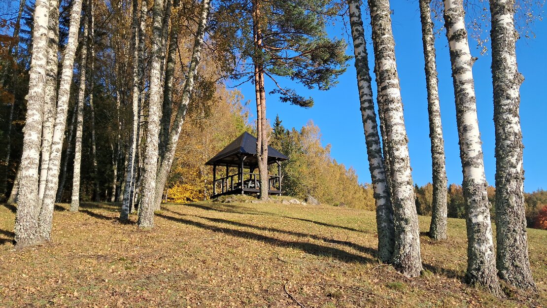 Pārdod zemi, Ielejas iela - Attēls 1