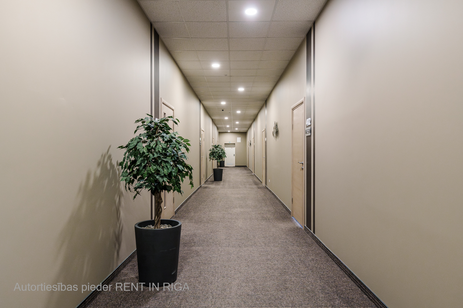 Industrial premises for rent, Lizuma street - Image 1