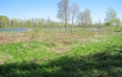 Pārdod zemi, Valdemārpils lauku t. iela - Attēls 1