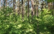 Pārdod zemi, Brūkleņu iela - Attēls 1