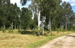 Pārdod zemi, Vecumnieku - Attēls 1