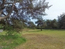 Land plot for sale, Kalnapriedes - Image 1