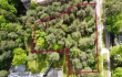 Land plot for sale, Ezermalas street - Image 1