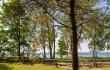 House for sale, Alberta street - Image 1