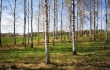 Land plot for sale, Jaunzemnieki street - Image 1