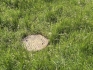 Land plot for sale, Veldres street - Image 1