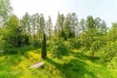 House for rent, Tukuma street - Image 1