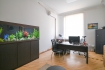 Office for rent, Blaumaņa street - Image 1
