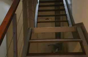 Jūrkalnes - Attēls