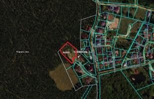 Mēnestiņi - Attēls