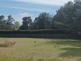 Kalnapriedes - Attēls