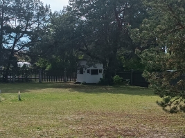 Kalnapriedes - Attēls