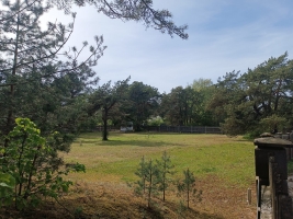 Kalnapriedes - Attēls