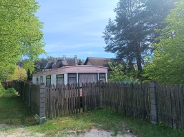 Kalnapriedes - Attēls