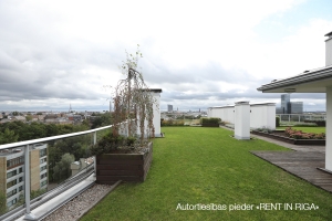 Tomsona 30 - Attēls