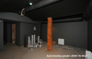Alfrēda Kalniņa - Attēls