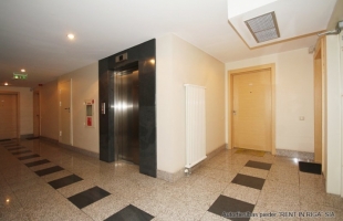 Lielirbes 11 - Image