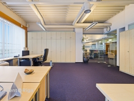 Duntes - Изображение