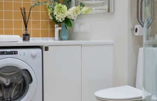 Bezdelīgu - Attēls