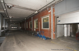 Kleistu - Image