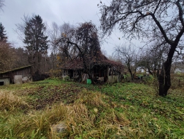 Dārziņu meža - Attēls