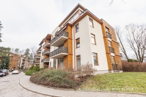 Volguntes 40 - Attēls