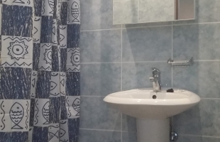 Matīsa 41 - Attēls