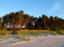 Krastmalas - Attēls