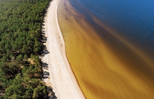 Krastmalas - Attēls