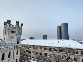 Meža - Attēls