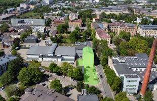 Bērzaunes - Attēls