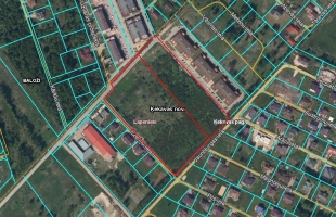 Lapenieki Zvirbuļi - Attēls