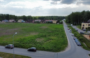 Lapenieki Zvirbuļi - Attēls